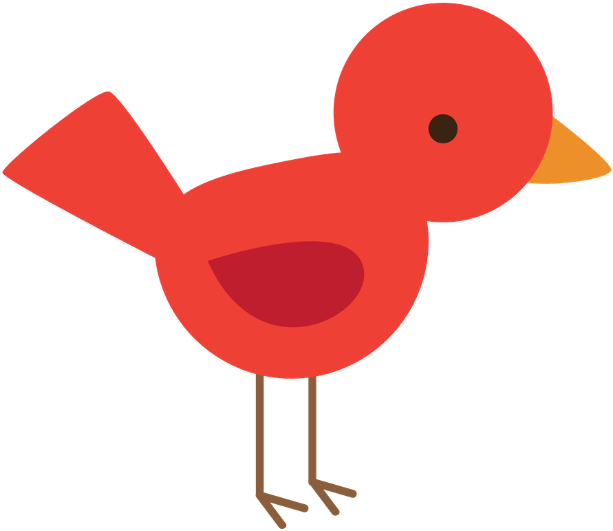 Floresta E Safari - Duck (900x779)