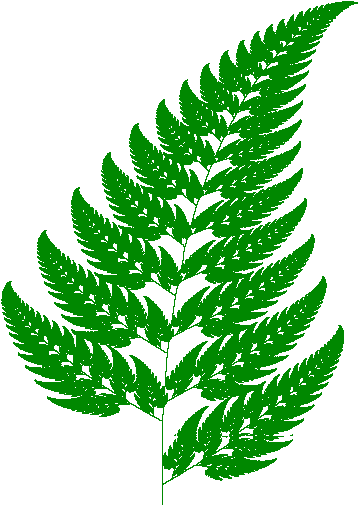 Figure 11 - - Fern Leaf (385x513)