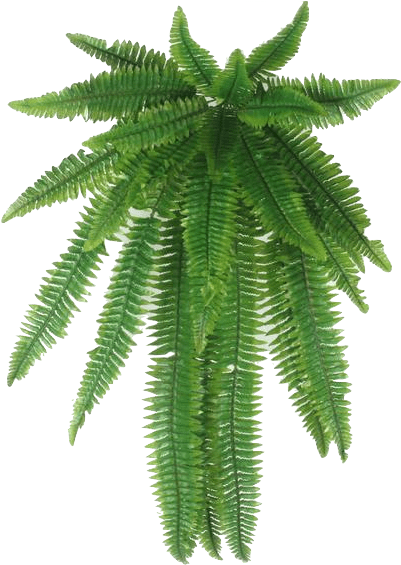 Buy Artificial Leaves Online Usa - Leaf (466x569)