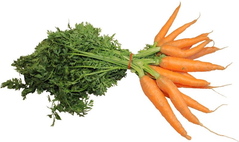 Portable Network Graphics Carrot Clip Art Image Computer - Fresh Carrot Png (850x532)