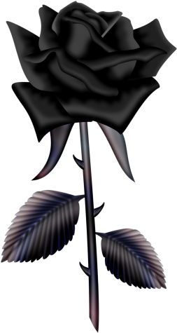 0 Db95e E8d245c0 Orig - วาด ดอก กุหลาบ สี ม่วง (294x493)