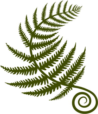 Deanna Aims To Empower Her Clients To Foster Wellness - Fern (620x464)