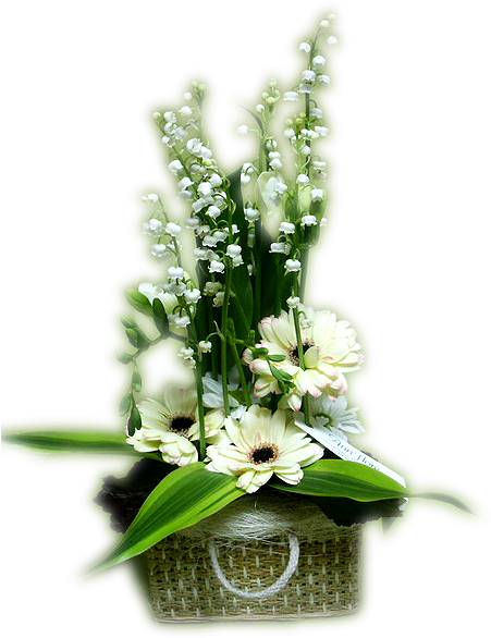 Portable Network Graphics Flower Lily Of The Valley - Te Souhaite Tout Le Bonheur (450x600)