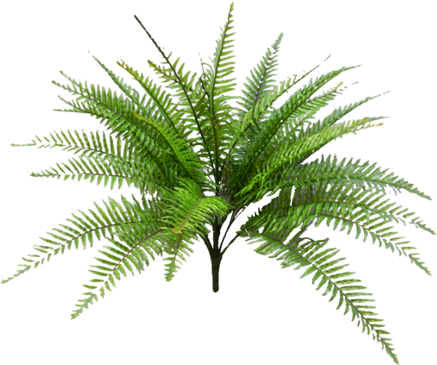 51cm Fern Bush W/34lvs - Fan Palm Leaf (800x600)