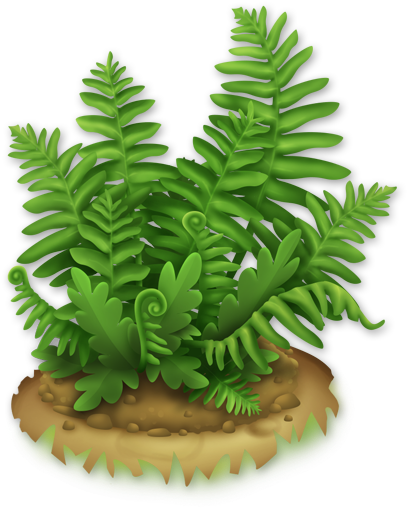 Lush Fern - Fern Png (565x565)