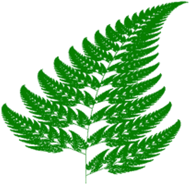 Fern - Fractal Geometry In Nature (400x400)