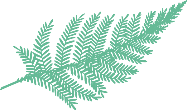 Garden Design And Landscaping In Edinburgh, Stirling, - Botany (600x352)