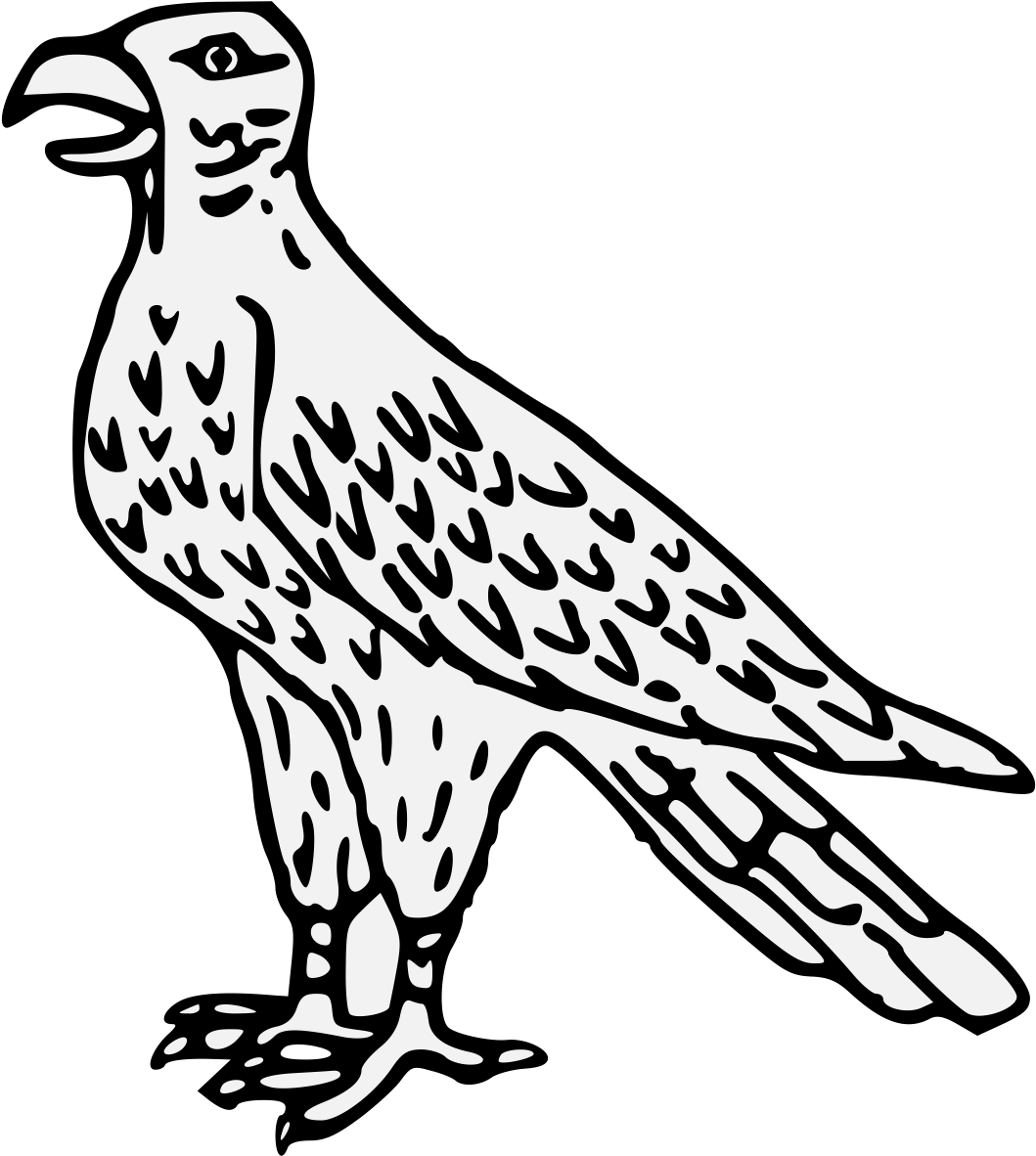 Pdf - Falcon (1068x1211)