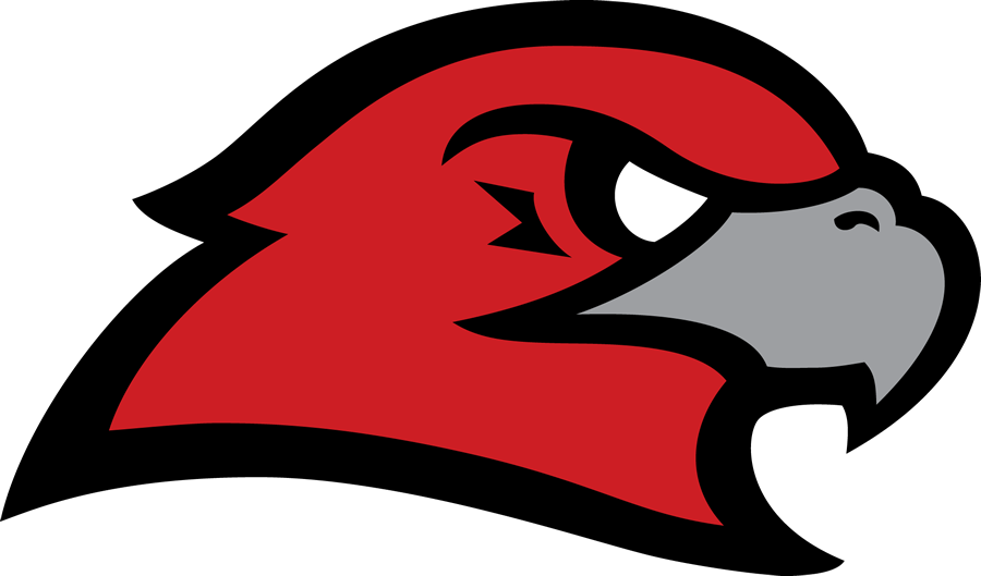 Hiland Hawks - Hiland High School Hawks (900x529)