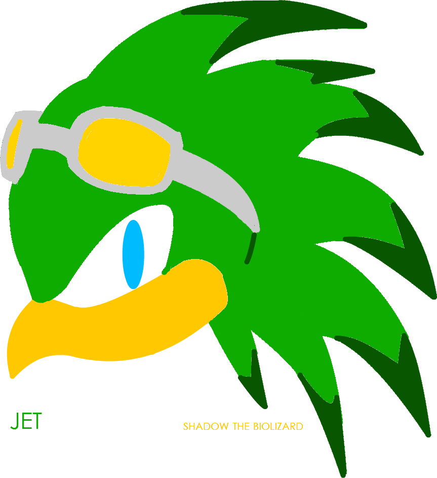 Jet The Hawk By Shadowthebiolizard Jet The Hawk By - Sonic The Hedgehog Jet The Hawk (863x943)