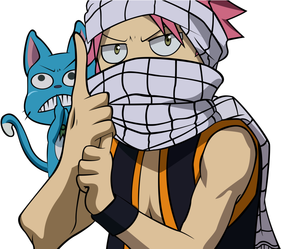 [vector] Natsu And Happy - Fairy Tail Natsu Y Lucy (1005x795)