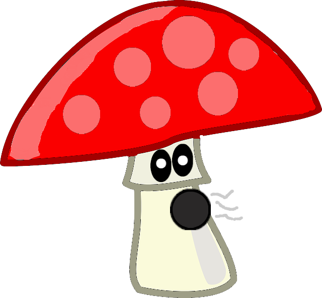 Vacuum Shroom Hd - Edible Mushroom (640x591)