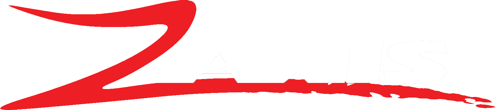 Zaxis Inc - - Metering Pump (1627x362)