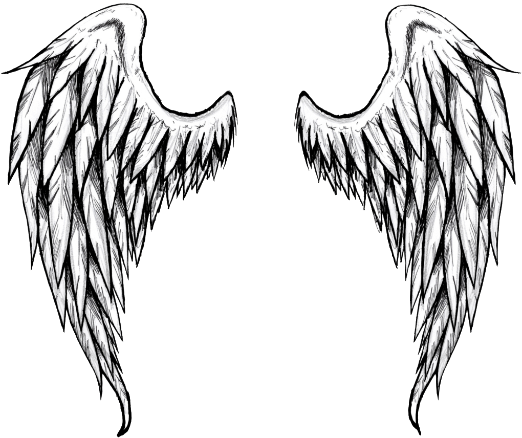 Angel Wings Drawing (1023x873)