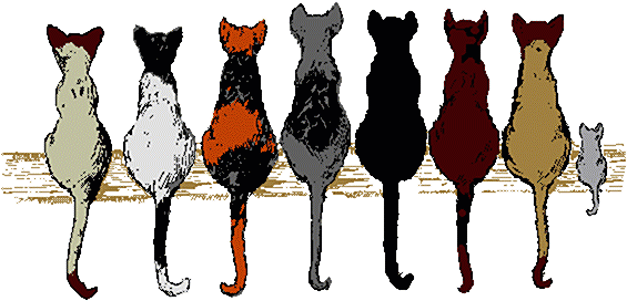Weekend Fun Knoxville Style - Buon Anno Con Gatto (580x320)