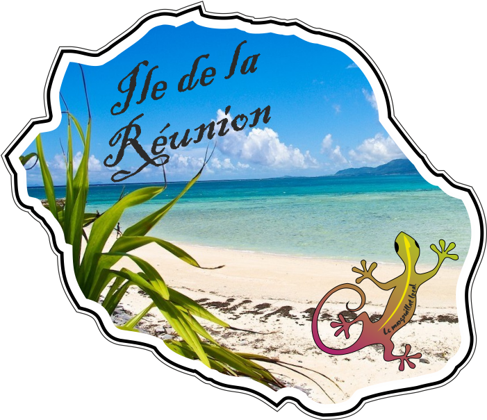 Navigation Des Articles - Lord Of The Flies Island (700x700)