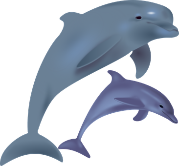 Dolphines Clipart Ocean Life - Two Dolphins Clipart (366x340)