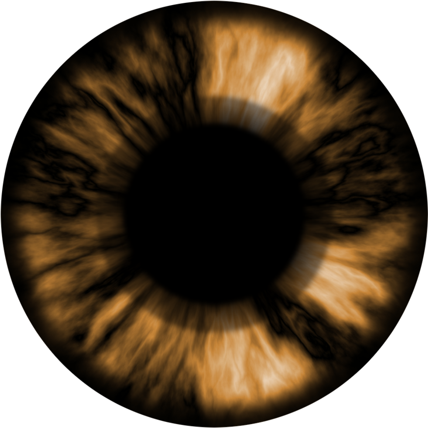 Textura Olho Castanho Escuro / Brown Eye Text By Axelmuller - Lenses Png Hd Eye (894x894)