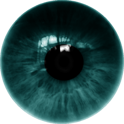 Olho Verde Azulado - Brown Eye Lens Png (528x528)