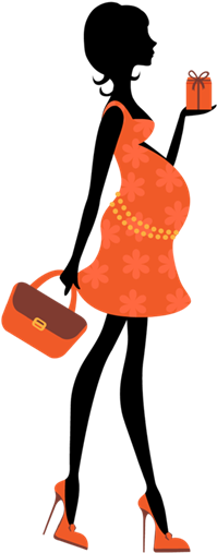 Animal Dolphin - Illustration (600x512)