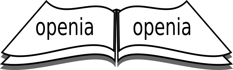 Medium Image - Medium Image (800x241)