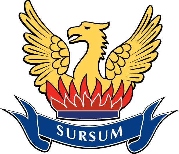 Mt Roskill Grammar School - Mt Roskill Grammar School (616x528)