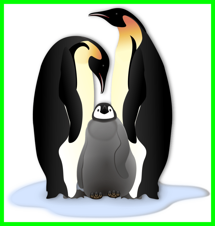 Penguin Clipart Cold Penguin Clipart Inspiring Clipart - Penguin Family Note Cards (830x875)