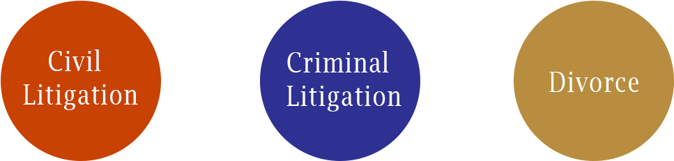 Civil Litigation , Criminal Ligitation, Divorce,fidel - Civil Law (1039x289)