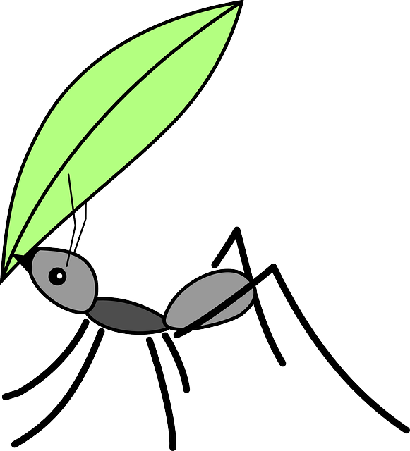 Drawn Ant Langgam - Ant Carrying A Leaf (581x640)