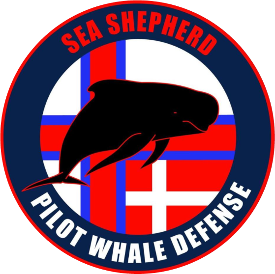 Pilot Whale Defense Campaign In The Faroe Islands And - Sea Shepherd Bloody Fjords (559x558)