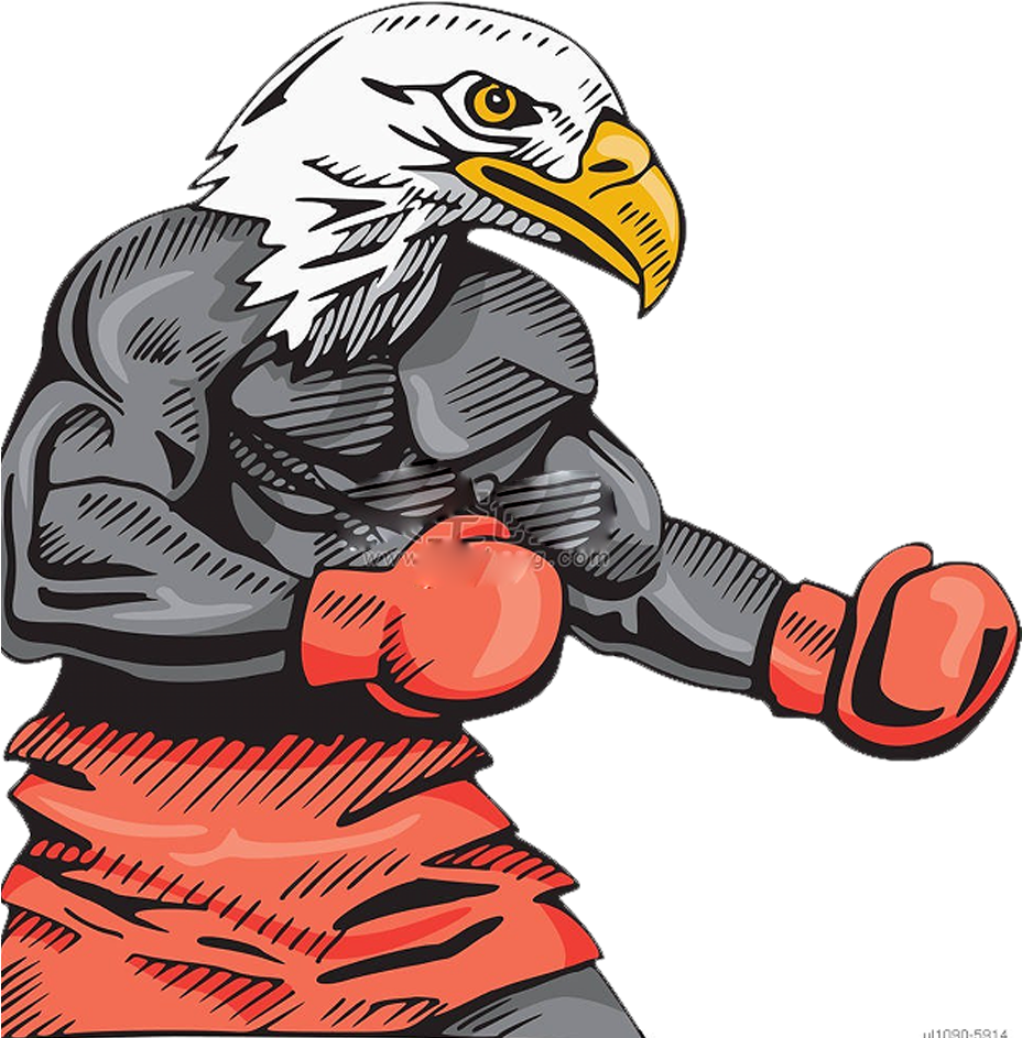 Bald Eagle Boxing Hawk Illustration - Boxing Eagle (1024x1024)