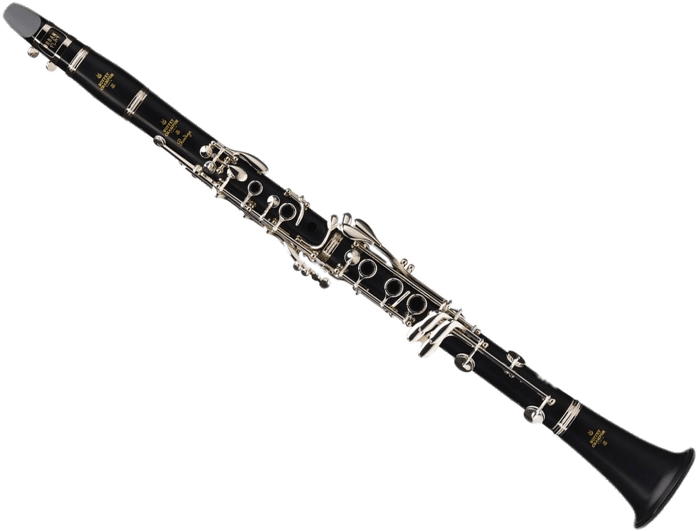 Buffet Prodige Clarinet - Golf Pride Z Cord (1024x768)