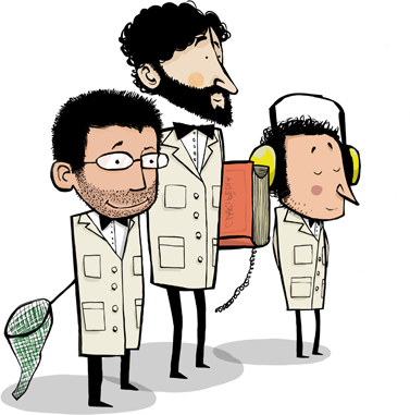 Baroque Clarinet - Cartoon (377x381)