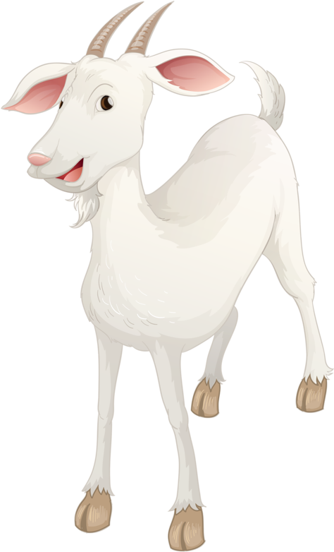 Sheep Goat Illustration - Goat (510x800)