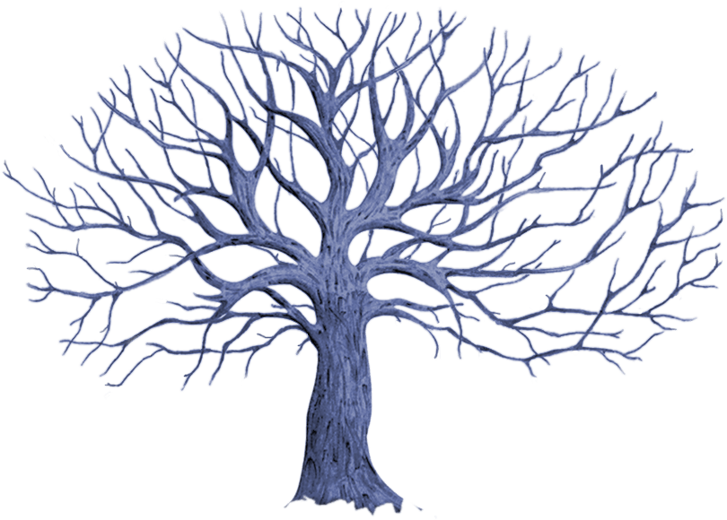 Только Не Забудьте Включить Звук Ведь Наш Снегопад - Tree (810x580)