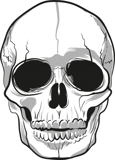 Skeleton Head Hd Image Png Images - Png Transparent Skull Png (400x555)
