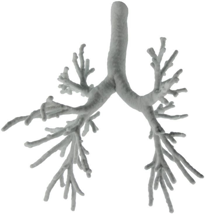 3d Printed Tree Models (768x768)