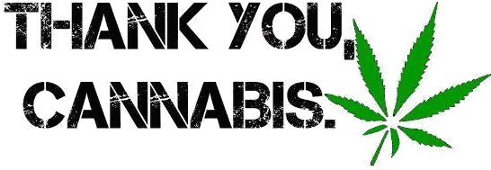 Pk, Medical Marijuana Inc - Parkpop (549x264)