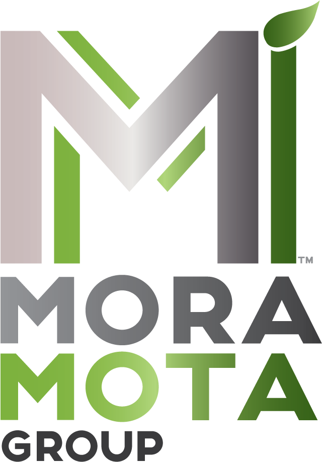 Medical Cannabis News Across The World Mora Mota Group - Graphic Design (644x944)