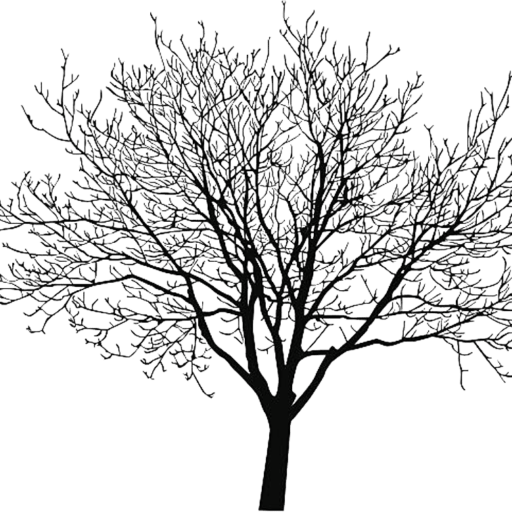 Http - //box5386 - Temp - Domains/~theblbf1/wp Tree - Walnut Tree Vector (512x512)