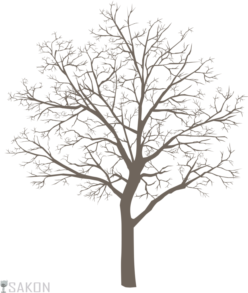 Basic Tree Meme Png By Sakon04 - Oak (900x1059)
