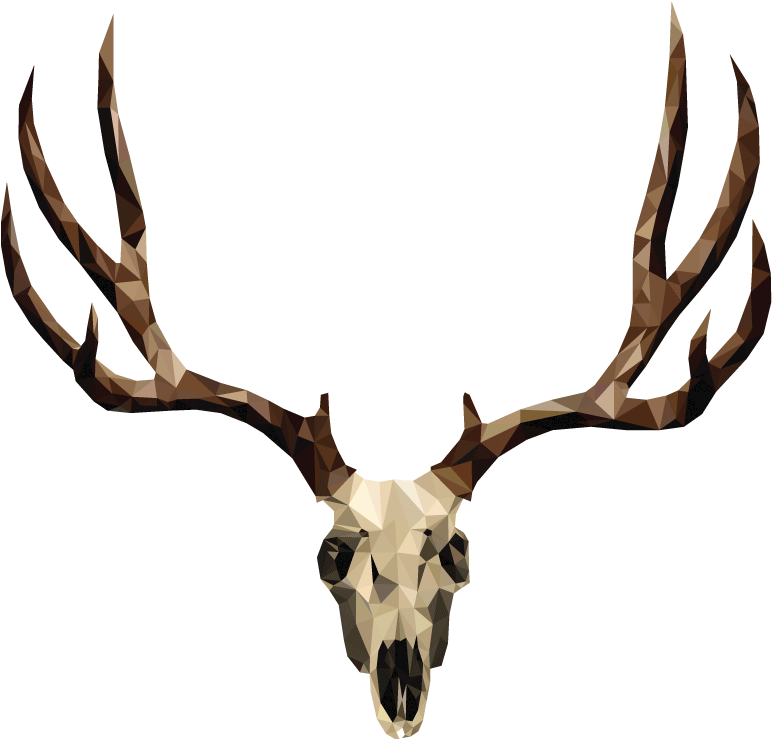 Mule Deer Skull Drawing (1191x842)