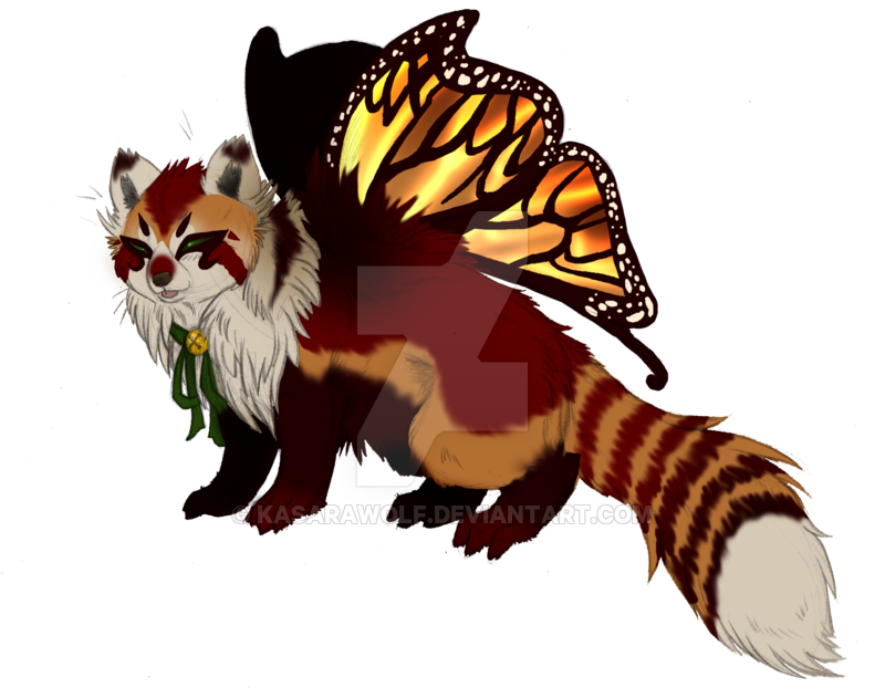 Butterfly Red Panda Paypal Adopt Auction Gone By Kasarawolf - Red Panda And A Wolf (800x631)
