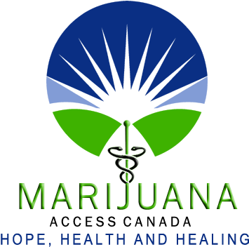 Looking To See If You Qualify For Medical Marijuana - Png Medical Marijuana Help (404x366)