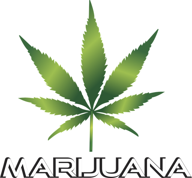 More Provisional Medical Pot Licenses Approved By Bay - Marijuana Leaf Clip Art Transparent (640x595)