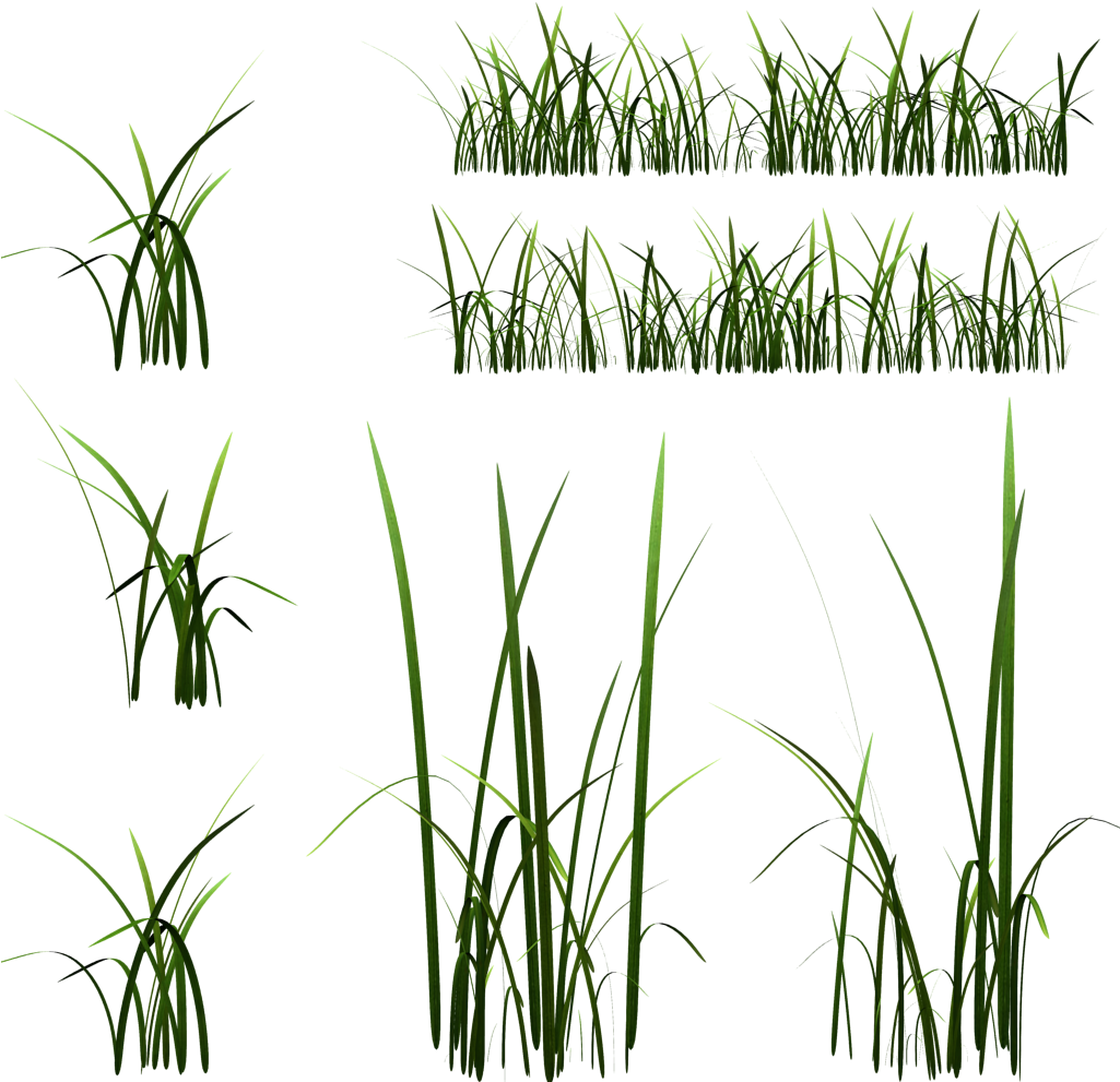 Texture Mapping Unreal Engine 4 Grasses Zbrush Low - Grass Texture Side (1024x1024)