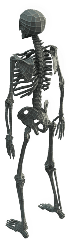 Base Mesh Skeleton - Low Poly (1024x1024)