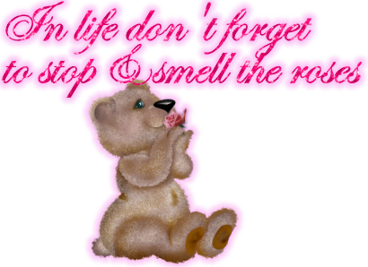 Laminas De Ositos (410x298)