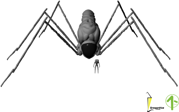 All Legs - Oecanthidae (640x480)