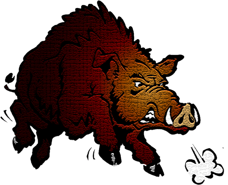 Wild Boar Bar And Grill - Wild Boar Bar And Grill (800x867)